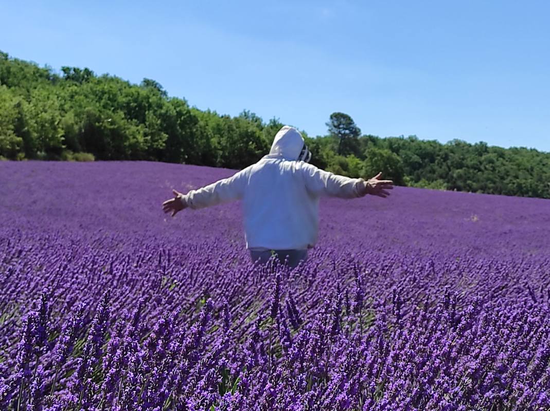 Franck dans lavandin